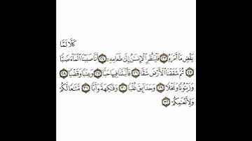 سورة عبس 3 القسم الثالث تكرار كيفي من .. كلا لما يقض .. إلى .. متاعا لكم ولأنعامكم
