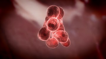 Biotechnology | Future of Everything with Jason Silva | Singularity University