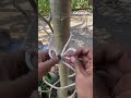 #Knots #KnotTying #CampingLife #Bushcraft #OutdoorSkills #DIYTips