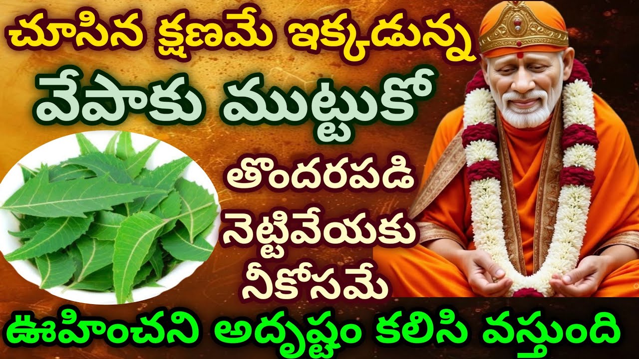 చూసిన క్షణమే ఇక్కడున్న వేపాకు ముట్టుకో తొందరపడి నెట్టివేయకు నీకోసమే ఊహించని అదృష్టం కలిసి వస్తుంది 