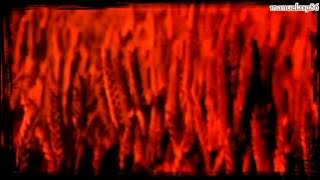 Enya - Flora's Secret