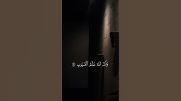 (( أَلَم يَعلَموا أَنَّ اللَّهَ يَعلَمُ سِرَّهُم وَنَجواهُم )) ..القارئ🎙️: أنس المالك