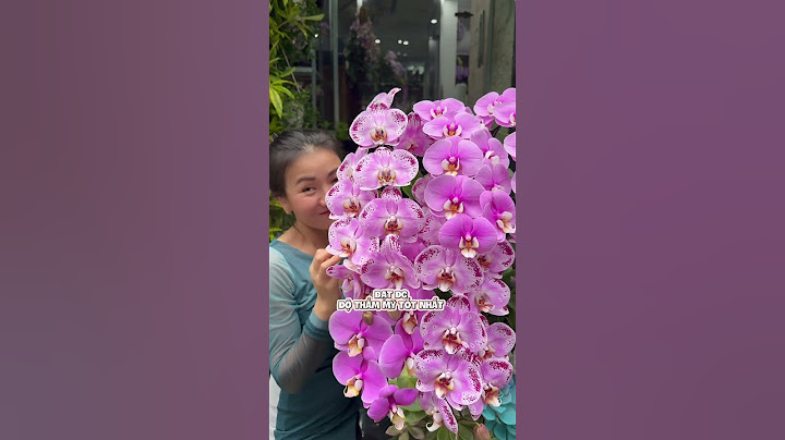 Hoa Tặng Khai Trương Khác Biệt Dành Tặng Người Đặc Biệt