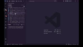 VSCode, Classy Framework development. 2026/5/31 Part 3 Profile