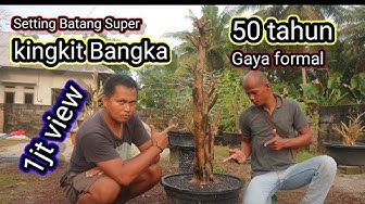 Kingkit Youtube
