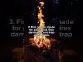 Five Fire Facts