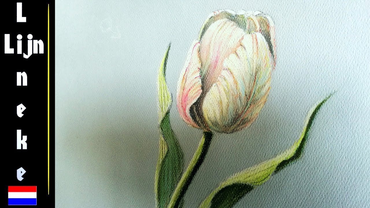 Tulp Tekenen Pastel Potlood Tekening Beginners - Youtube