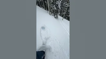 W Scotties Test Slope With Cracking 2 15 2024 WNW Facing 8900 LCC Snow 