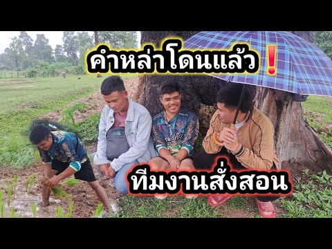 โดนแล้ว❗️ทีมงานสั่งสอนคำหล่าหนัก 7 กรกฎาคม ค.ศ. 2026