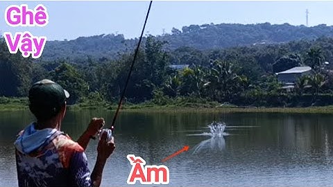 Câu cá lóc_Lang thang đụng Hugo @Hữunghị tv