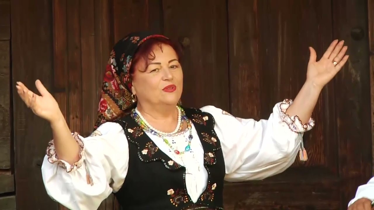 MARIANA POP -  VAI,  ȚIGANE,  BINE ZICI !