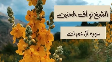 تِلاوة من سورة آل عمران || الشيخ نواف الحنين