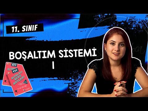 25) BOŞALTIM SİSTEMİ 1 | 11. SINIF | AYT BİYOLOJİ DERS NOTLARI 2024