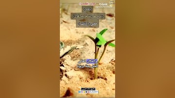 معنى :(رَبَتْ) ٨٥,-شرح مفردات غريب القرآن ،سورة فصلت, الشيخ خالد الحرمي.#غريب_القرآن