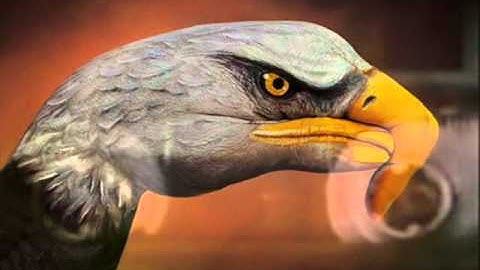 Part 26 Tone float  (Tapes)