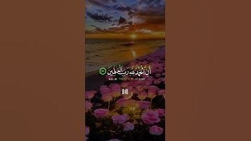 📖سورة يونس 🎙️عبد الرحمن مسعد