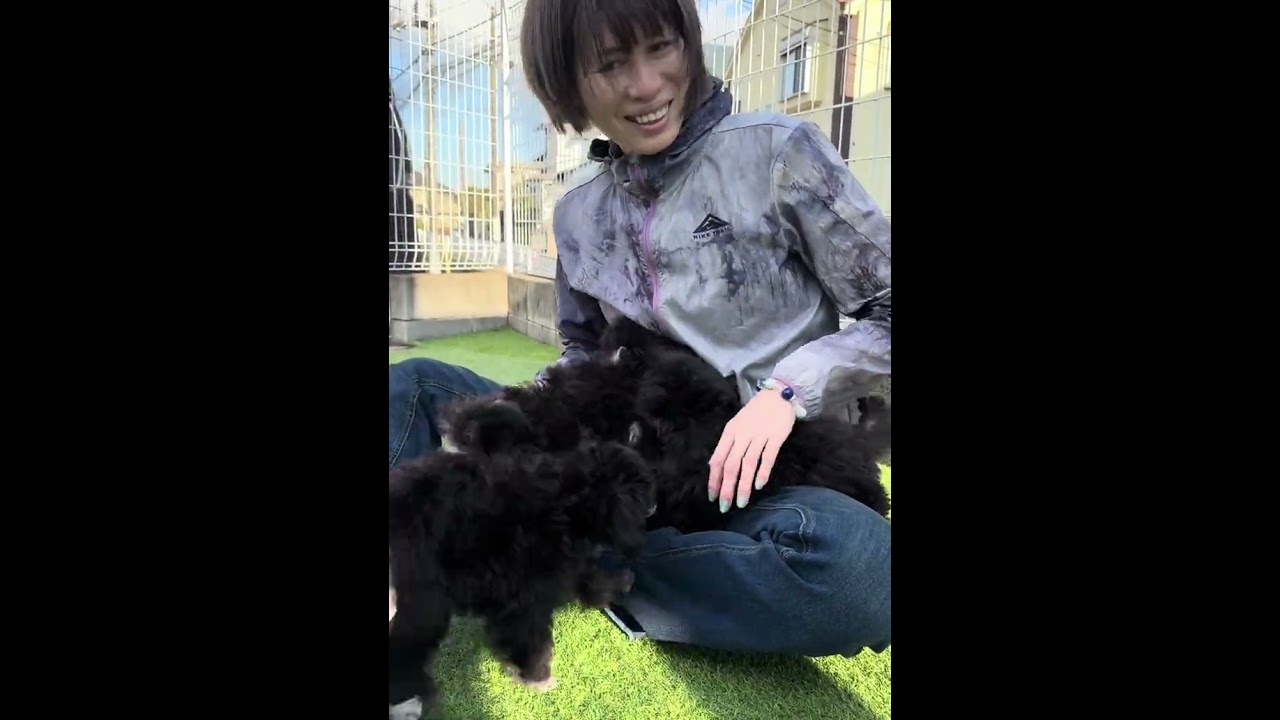 直筆 lycee ふわふわで優しいトイプードル 御園 苺華 SP 未開封 Amazon