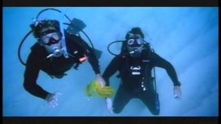 Ballys Innertube Divers