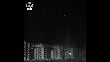 NOIR_II - Dan Terminus