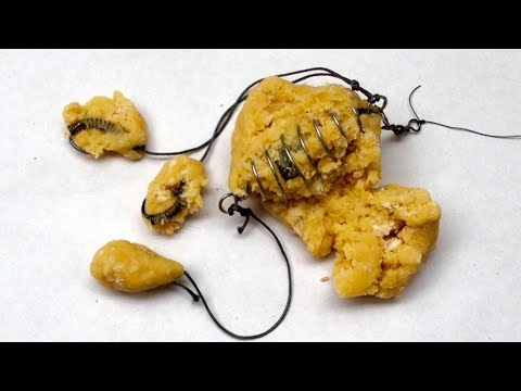Video How to Make Catfish Bait From Garlic - طُعم سمك السلور... - youtube