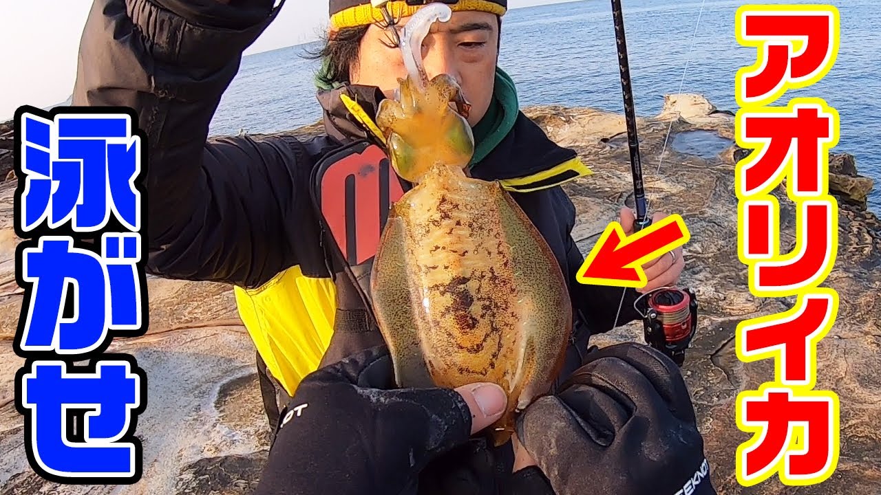 シマノ最安の磯竿ってガチの磯釣りに使えるの 的youtube视频效果分析报告 Noxinfluencer