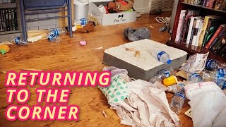 BACK TO THE CORNER I GO | Some Plans Go Awry & You Just Do What You Can | My Decluttering Journey