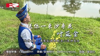 叶亚金 - 【送你一束沙枣花 / 我是中国人 / 万里长城】 MV