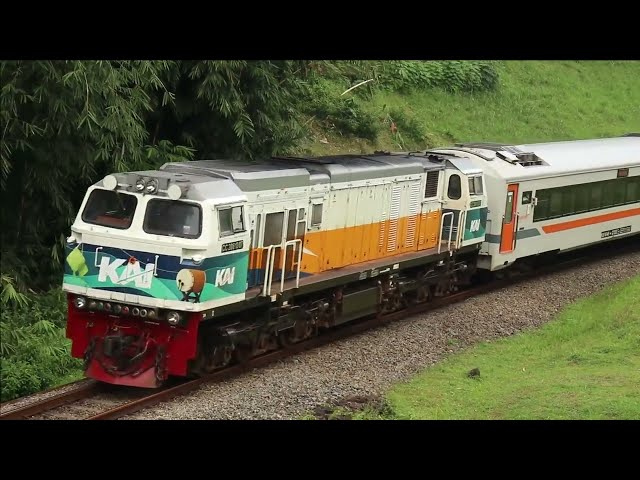 The White Train Kamandaka - Down The Hill Across The Coutryside | Java Railfanning class=