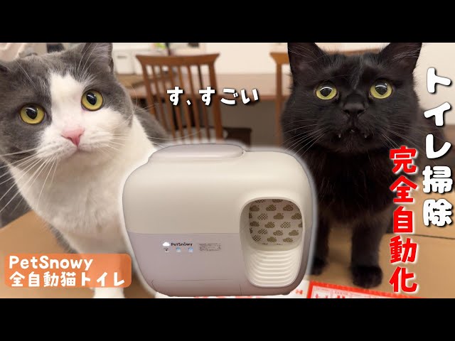 The much talked about fully automatic cat litter box has arrived