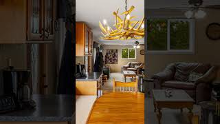 125 Golden Bear Lane video tour