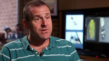 Daniel Goldman: Ants and Robots