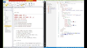 주석과css의기본형식정리