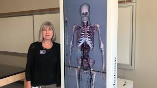 Arapahoe Community College Sturm Campus Anatomage Table Demo