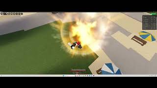Exploiter Report - Video Evidence