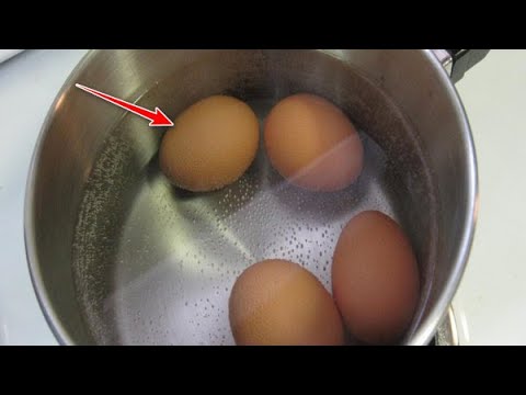 Βίντεο: Τι είναι ένα αυγό