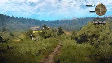 First person view in The Witcher 3: Wild Hunt (PS4-Bug)