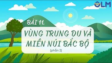 Bài 11. Trung du miền núi Bắc Bộ (phần 2) - Địa lí 9 [OLM.VN]