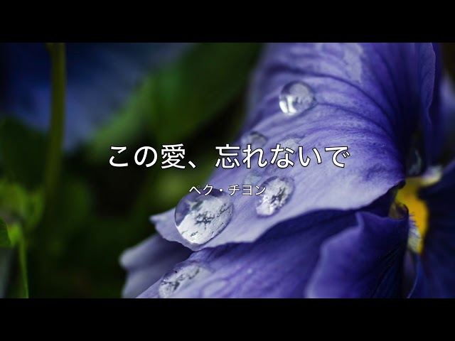 この愛、忘れないで／ペク・チヨン cover - YouTube