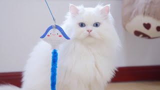 Funny Cat | 用魔鬼魚玩具釣小貓的一天，我和貓咪都玩爽了！#catvideos    #catreaction  #cats #catlover