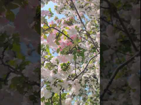 يعني ايه ثنائي القطب ازاي اعرف انا عندي ثنائي القطب ولا لا