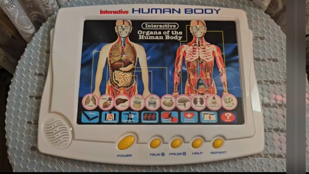 Body Scanner Toy Scientific toys, interactive, human body ( touchpad version ) - YouTube