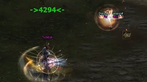 L2 Gladiator B grade dual demage