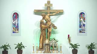 12:00 PM Misa de Espanol, XVI Domingo Ordinario
