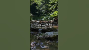 قال إنما اشكو بثي وحزني إلى الله) تلاوة تخشع لها القلوب 😭❤️