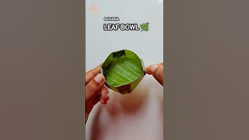Banana Leaf Bowl DIY 🍃 | Zero Waste Craft Idea