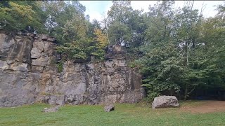 картинка: Жалею ли я о переезде в Америку* Дикая природа рядом с домом*🦌🦌🦌