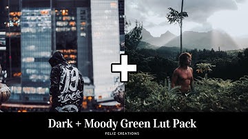 Dark + Moody Green Jungle Luts |  Color grading with luts on mobile (VN Video Editor)