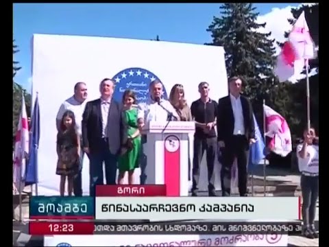 ენმ-ს პირველი ათეული გორის მოსახლეობას წარუდგინეს