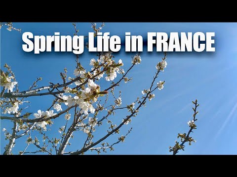 วีดีโอ: ภาษาฝรั่งเศสสำหรับฤดูใบไม้ผลิปี 2021