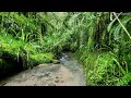 4K Natural environmental sounds, the sound of gently flowing water, quiet water